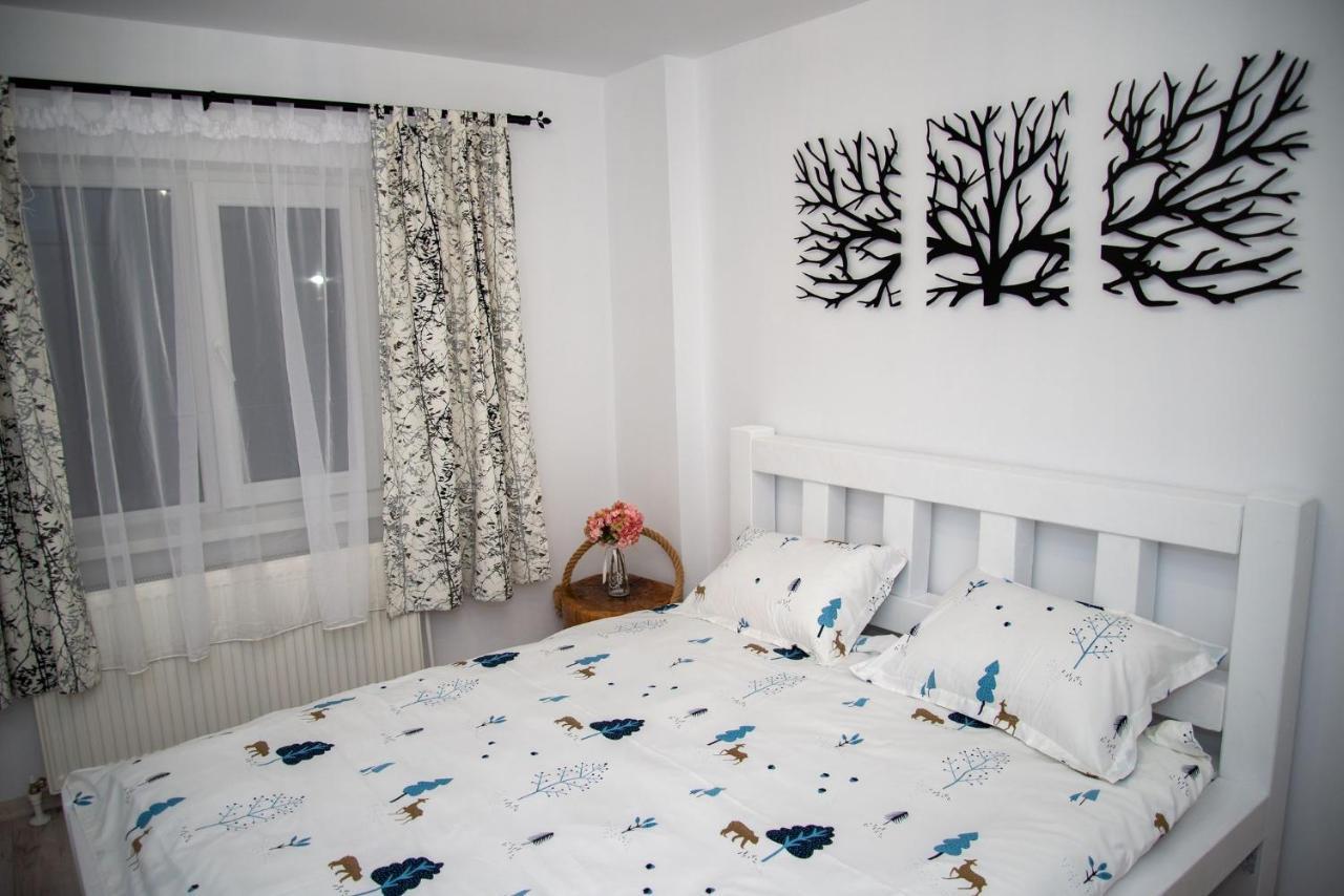 Apartament Daria Tîrgu Ocna Екстериор снимка