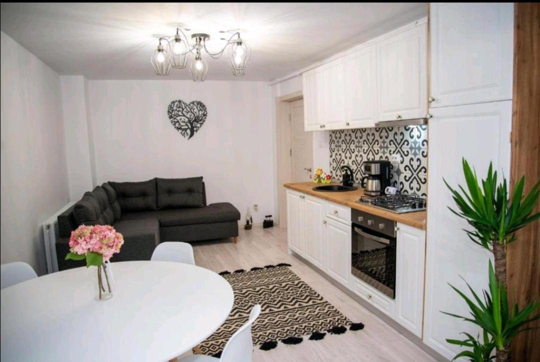 Apartament Daria Tîrgu Ocna Екстериор снимка